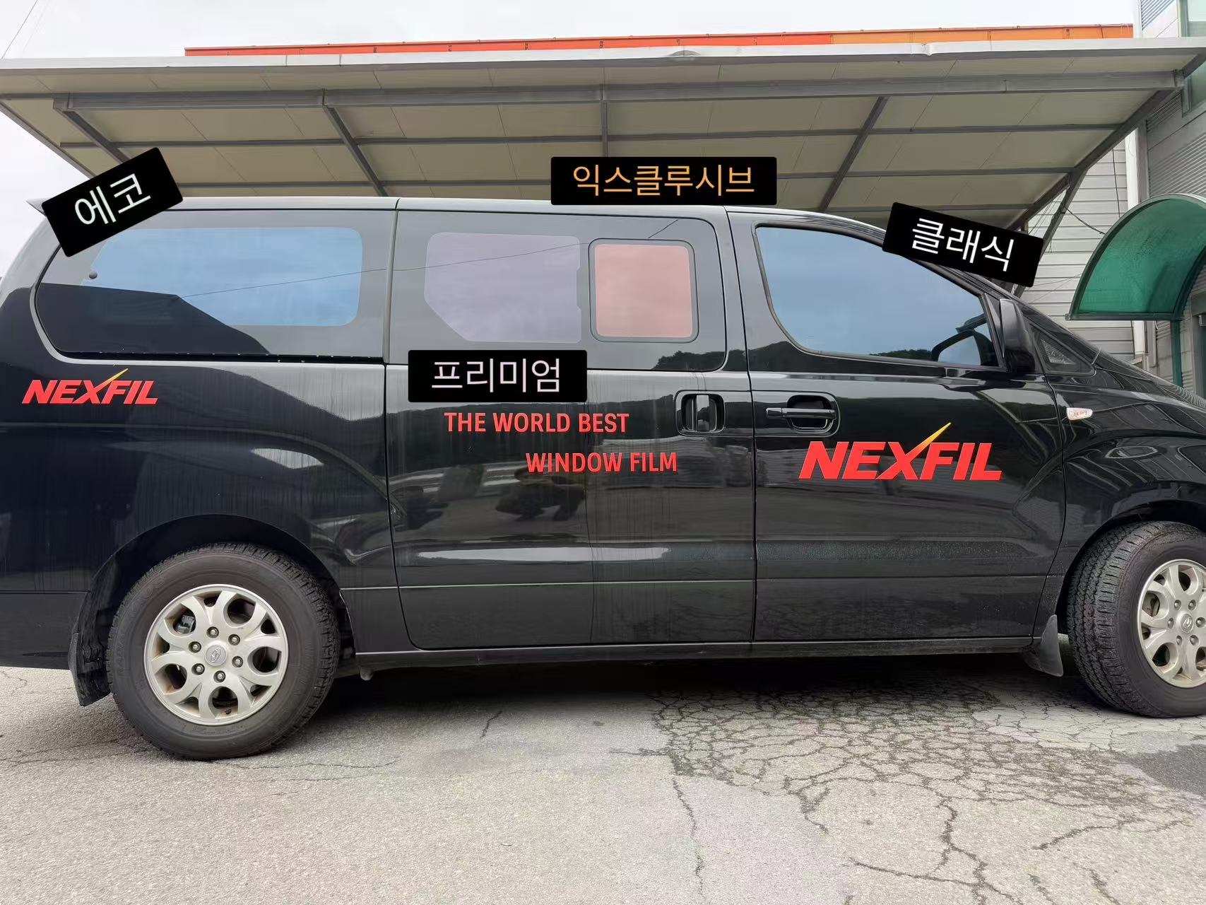 NEXFIL新闻